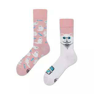 MANY MORNINGS - White Cat - bawełniane kolorowe skarpetki