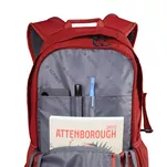 ALPINUS Teide 24 - czerwono-czarny - plecak turystyczny - 5