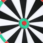 NILS Tarcza do darta / rzutek 2 w 1 TDN05 - 4