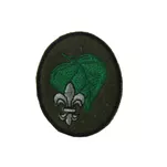 Plakietka specjalnościowa harcerska - 8