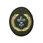 Plakietka specjalnościowa harcerska - 10