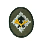 Plakietka specjalnościowa harcerska - 11