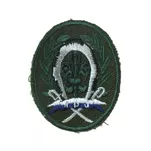 Plakietka specjalnościowa harcerska - 2