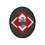 Plakietka specjalnościowa harcerska - 3