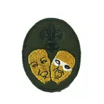 Plakietka specjalnościowa harcerska - 4