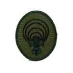 Plakietka specjalnościowa harcerska - 5