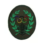 Plakietka specjalnościowa harcerska - 7