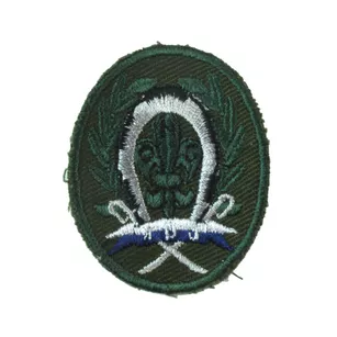 Plakietka specjalnościowa harcerska