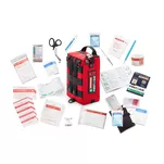 SURVIVAL Handy First Aid KIT – kompaktowa apteczka z wyposażeniem - 4