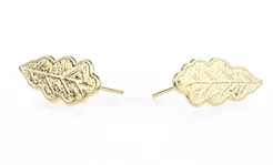 Złote liście dębu