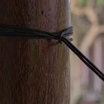 TICKET TO THE MOON Nautical Ropes - zawieszenie do hamaka - 4