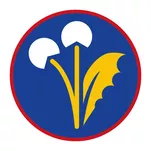 Sprawność harcerska Zielarz / Zielarka - 2