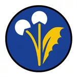 Sprawność harcerska Zielarz / Zielarka - 3