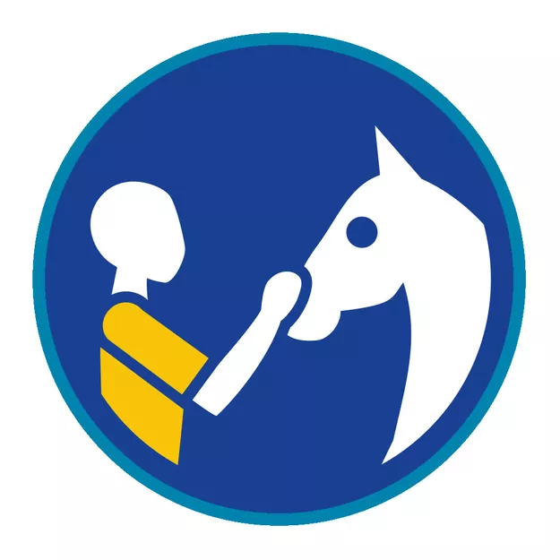 Sprawność harcerska Rozmawiający / Rozmawiająca z końmi - niebieskie obszycie - reforma SIM - System Identyfikacji Metodycznej