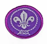 Lilijka plakietka haftowana WOSM