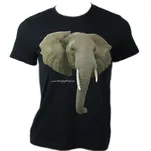 Koszulka T-Shirt dla szkół z haftem / nadrukiem - na zamówienie