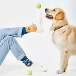 MANY MORNINGS - Golden Boy - bawełniane kolorowe skarpetki - pieski - 2