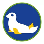 Sprawność harcerska Foka - 2