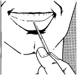 VICTORINOX - Części zamienne - A.6141 wykałaczka mała - 2