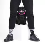 MANY MORNINGS - Tiny Little Dogs - kolorowe skarpetki dla psiarzy - 2