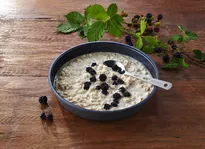 TREK'N EAT Proteinowy porridge / Owsianka białkowa 150 g (450 g) - Żywność Liofilizowana