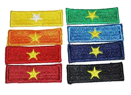 Plakietka gwiazdka / gwiazdki zuchowe