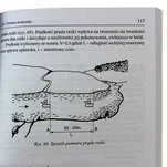 Zaznajomienie się z sztuką orientacji w terenie