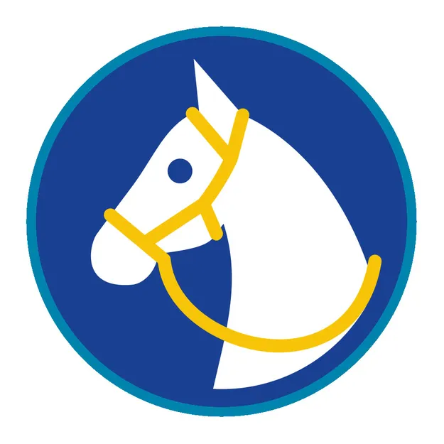 Sprawność harcerska Jeździec - niebieskie obszycie - reforma SIM - System Identyfikacji Metodycznej