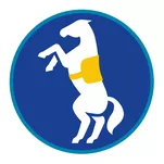 Sprawność harcerska Zaklinacz / Zaklinaczka koni - niebieskie obszycie - reforma SIM - System Identyfikacji Metodycznej