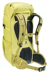 DEUTER Climber 22 - Dziecięcy plecak turystyczny - sprout-linden - 4