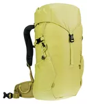 DEUTER Climber 22 - Dziecięcy plecak turystyczny - sprout-linden - 5