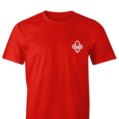 Kolekcja ZHP - koszulka z logo ZHP - męska czerwona