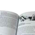 Wielka Encyklopedia Gier Grupowych - Gry w terenie - 2