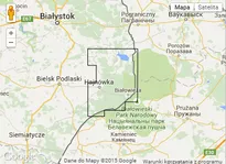 Mapa ExpressMap PUSZCZA BIAŁOWIESKA Laminowana - 2