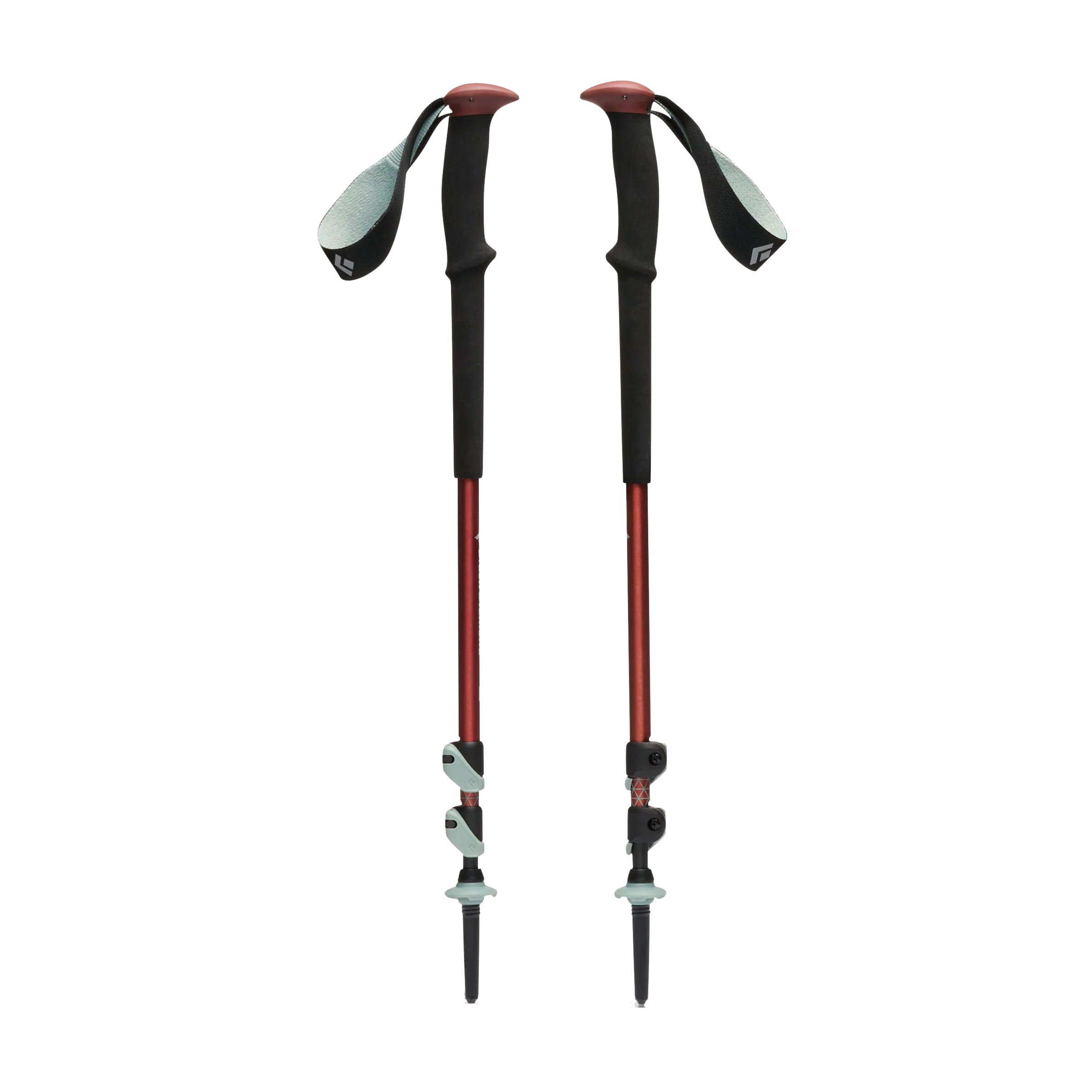 Kije trekkingowe wypożycz