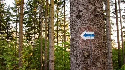 Jak oznaczone są szlaki turystyczne