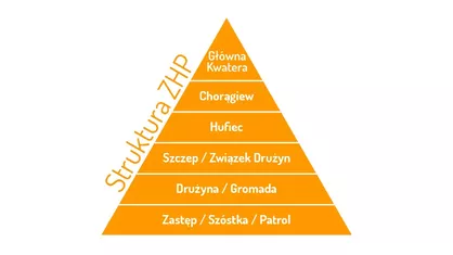 Struktura ZHP – jak łatwo ją zapamiętać