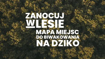 Mapa miejsc do biwakowania na dziko w Polsce – jak je znaleźć?