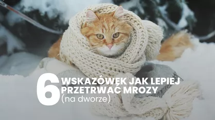 6 wskazówek jak lepiej przetrwać mrozy (na dworze)