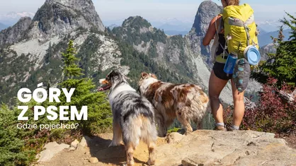 Góry z psem - gdzie można pojechać?