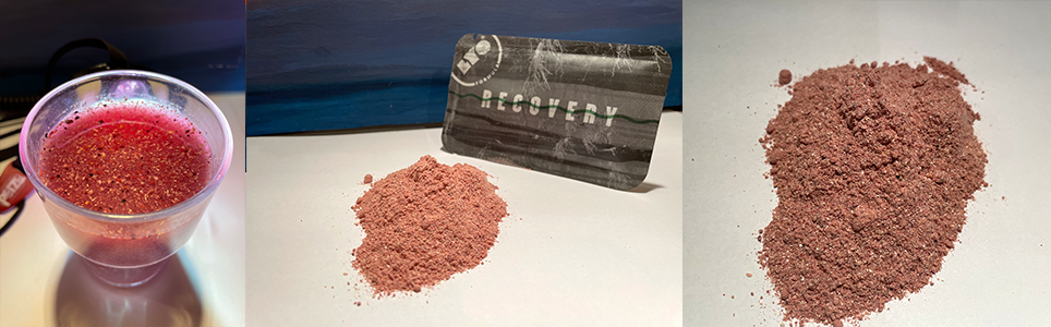 Lyofood formula recovery izotonik naturalny