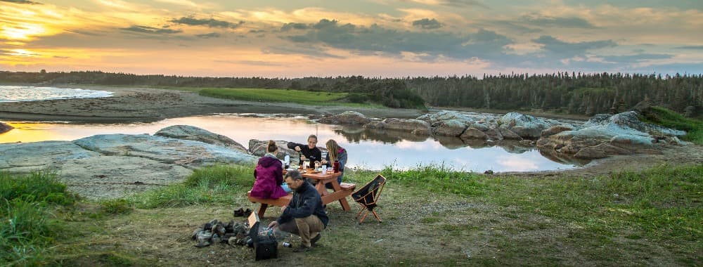 trekn eat strogonoff z wołowiną jedzenie liofilizowane