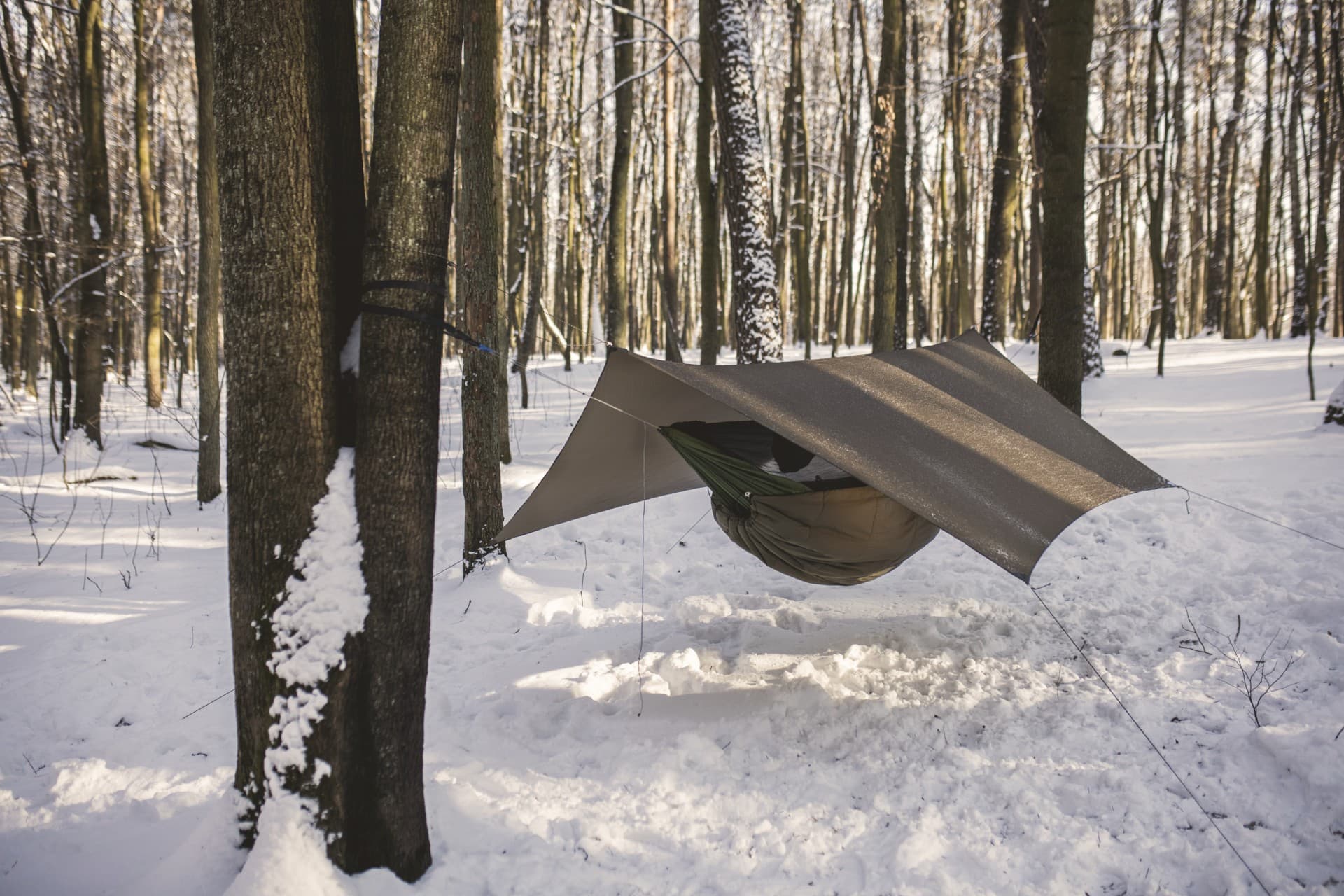 Tarp Lesovik Heksa Kangaroo